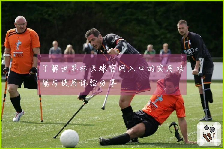 了解世界杯买球官网入口的实用功能与使用体验分享