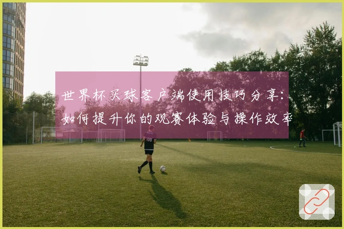 世界杯买球客户端使用技巧分享：如何提升你的观赛体验与操作效率
