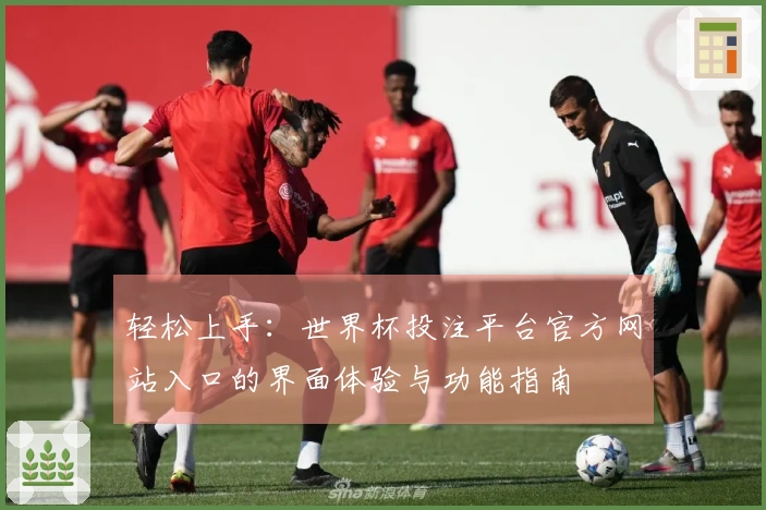 轻松上手：世界杯投注平台官方网站入口的界面体验与功能指南