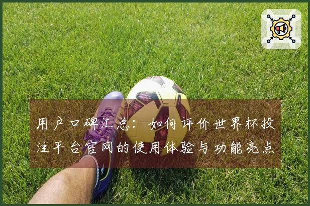 用户口碑汇总：如何评价世界杯投注平台官网的使用体验与功能亮点