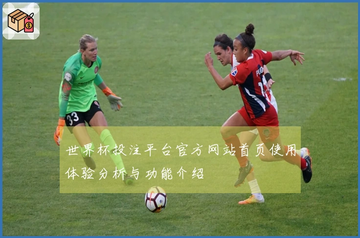 世界杯投注平台官方网站首页使用体验分析与功能介绍