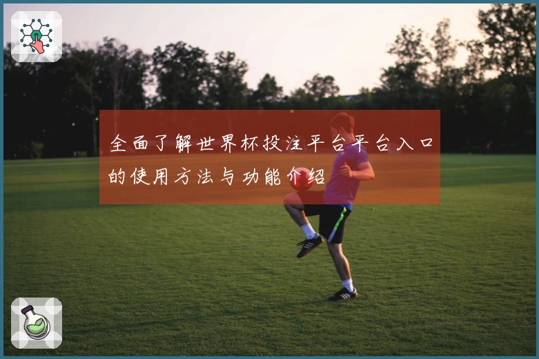 全面了解世界杯投注平台平台入口的使用方法与功能介绍