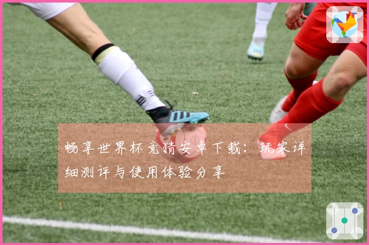 畅享世界杯竞猜安卓下载：玩家详细测评与使用体验分享