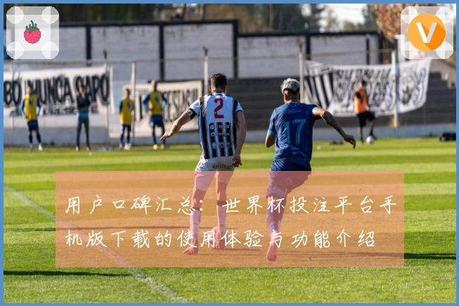 用户口碑汇总：世界杯投注平台手机版下载的使用体验与功能介绍