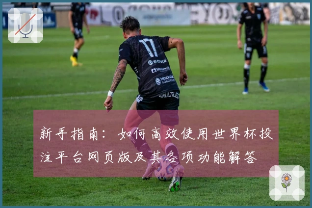 新手指南：如何高效使用世界杯投注平台网页版及其各项功能解答