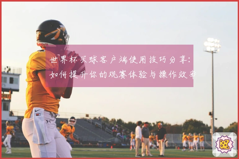 世界杯买球客户端使用技巧分享:如何提升你的观赛体验与操作效率