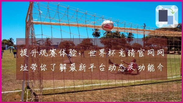 提升观赛体验，世界杯竞猜官网网址带你了解最新平台动态及功能介绍